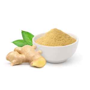 SHAH GINGER POWDER