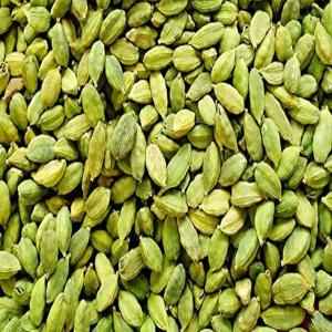 DR BL CARDAMM