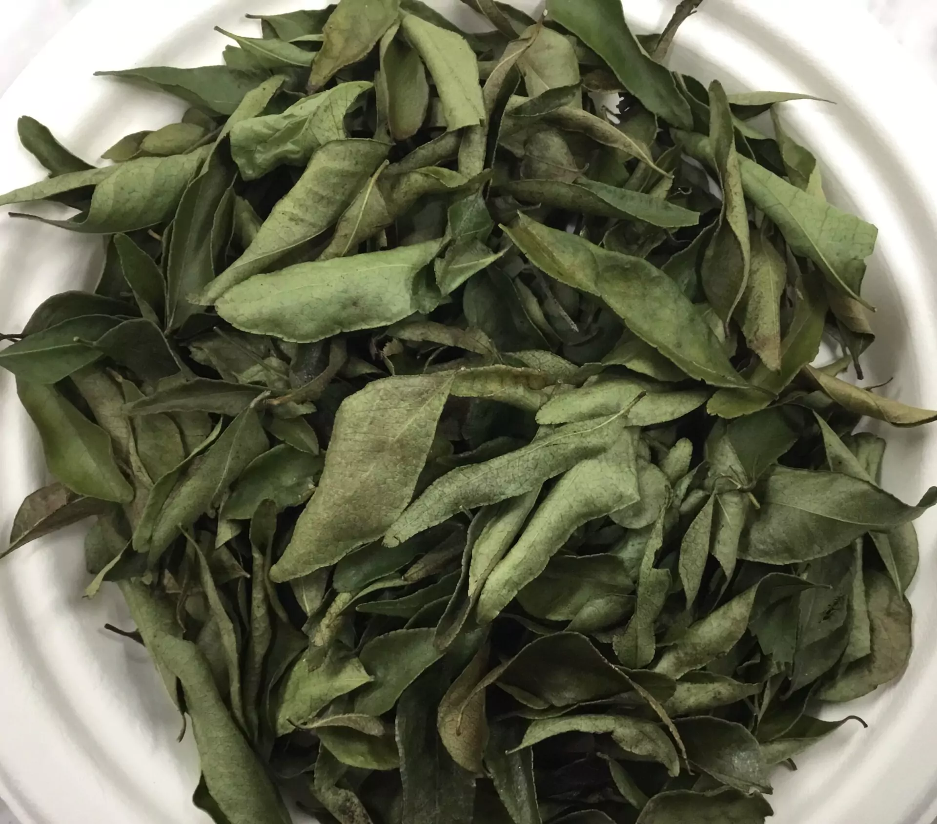 Dried Curry Leaves