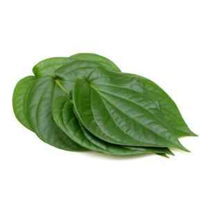 Paan