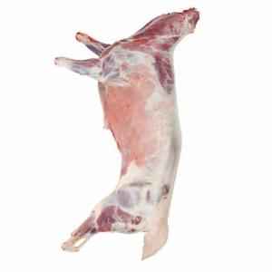 Whole Body Goat