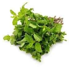 Mint Bunch