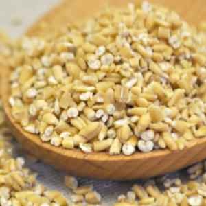 Dhanraj Haleem Wheat