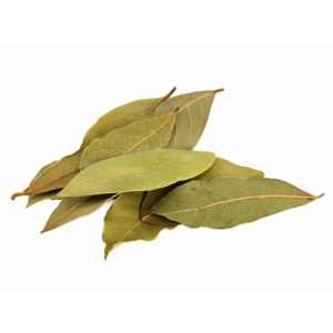 Gm Bay Leaves