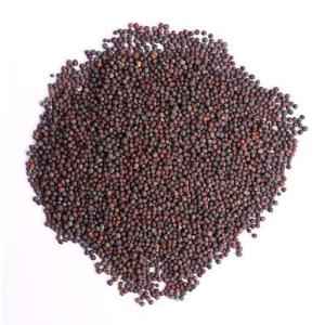 CHUK DE MUSTARD SEED SMALL