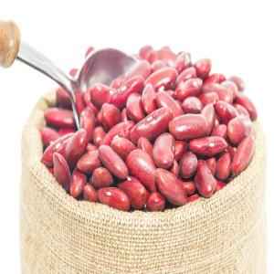 DR KIDNEY BEANS