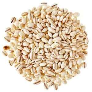 DHANRAJ BARLEY