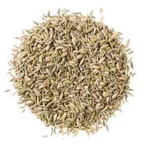 GURU FENEEL SEEDS