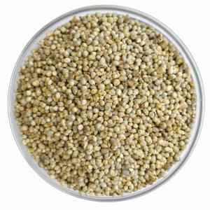 PEARLED PEARL MILLET