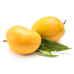 Lyallpur ALPHANSO MANGO