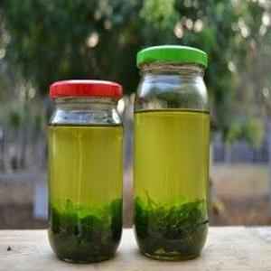 NATURAL LEAF HAIR OIL
