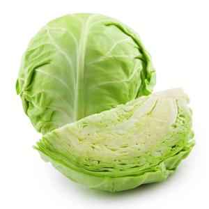 Cabbage Vegetable