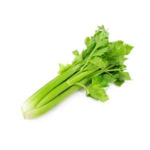 Fresh CELERY