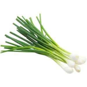 GREEN ONION