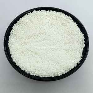 Fyve Elements Sabudana