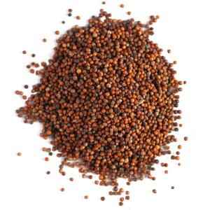 SWAGAT FINGER MILLET