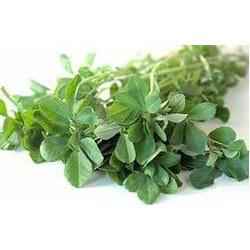 Frozen Methi (Frozen)