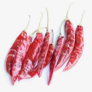 SWAD GUNTUR SANNAN CHILLI
