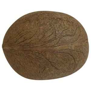 Swagat Coconut Whole