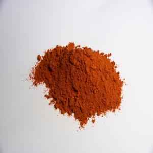 Dharti Kashmiri Chilli Pwd.