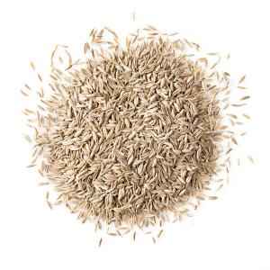 Dharti Cumin Seeds