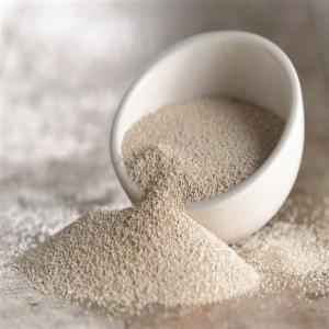 Dharti Dry Yeast