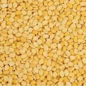 Dharti Moong Dal India