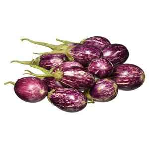 EGGPLANT INDIAN