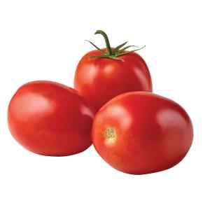 TOMATO ROMA