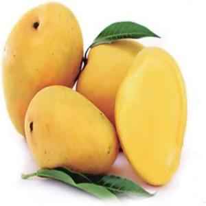Cognac Mangoes