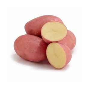 POTATO RED LOOSE