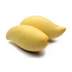 TOTAPURI MANGO