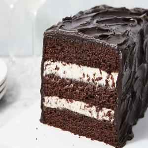 VADILAL CHOCOLATE CASSATTA ICE CREAM BLOCK