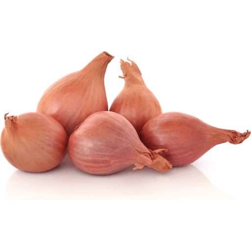 SHALLOT ONION