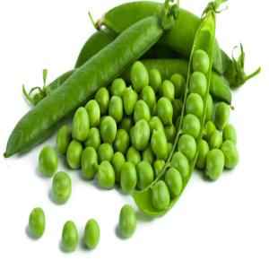 SHANA GREEN PEAS