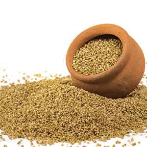 Go Within Kodo Millet