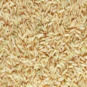 Organic Sattva Sona Masoori Rice Brown