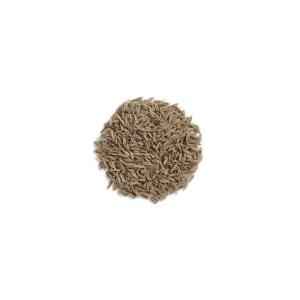 CUMIN SEED