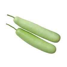 Indian Long Squash