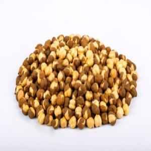 SWAGAT ROASTED CHANA SALT