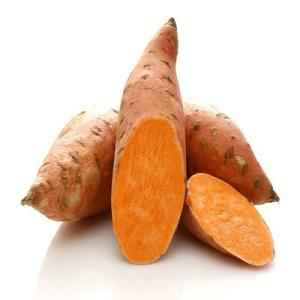 American Sweet Potato