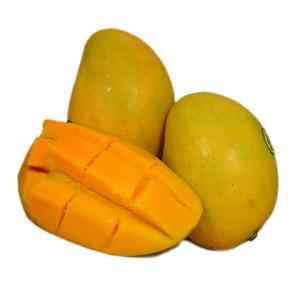 Mingola Mango Box