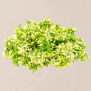 Neem Flowers