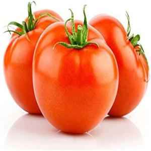 Tomatoes Round