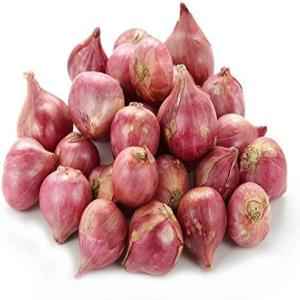 SHALLOTS ONION BAG