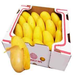 MANGO ATULFO BOX