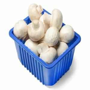 Mushroom Box