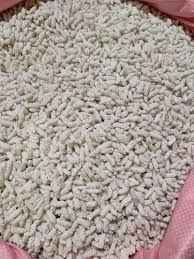 Hans Sweet Fullian
