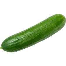 Cucumber