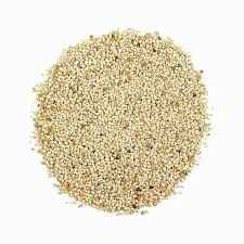 Mashal Poppy Seed